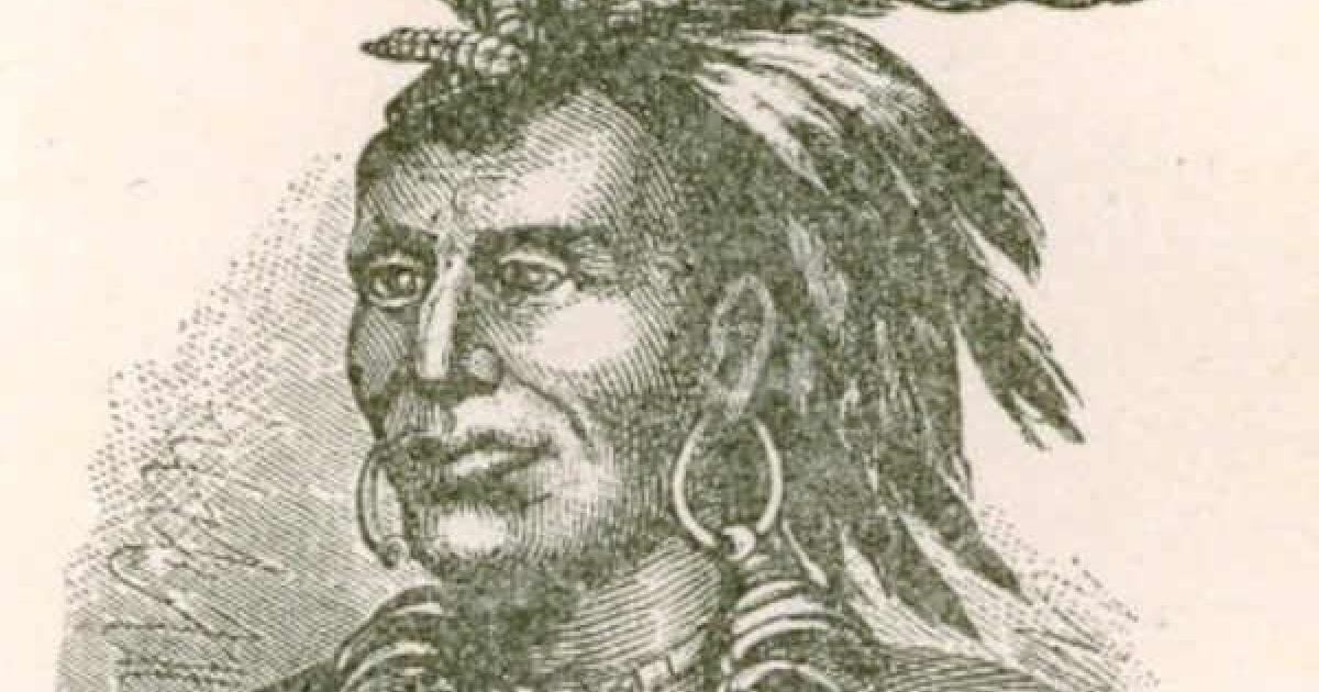Chief Little Turtle & The Battle of Kekionga (Video)